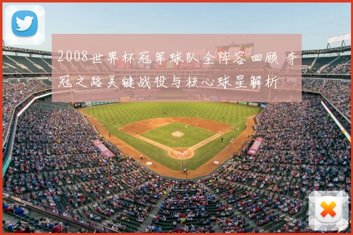 2008世界杯冠军球队全阵容回顾 夺冠之路关键战役与核心球星解析