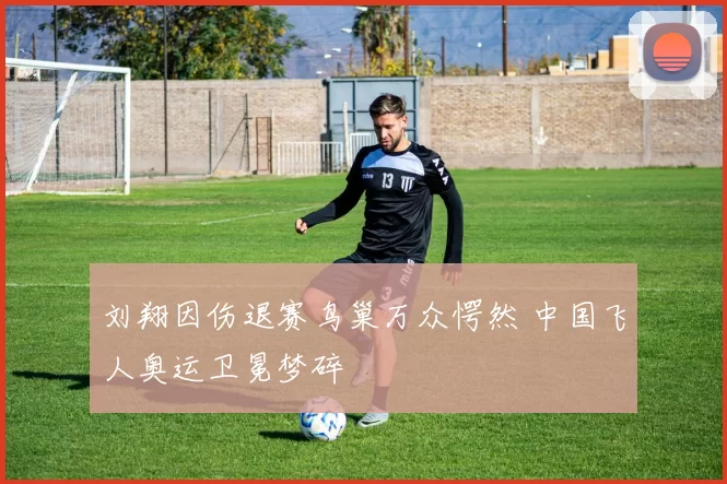 刘翔因伤退赛鸟巢万众愕然 中国飞人奥运卫冕梦碎