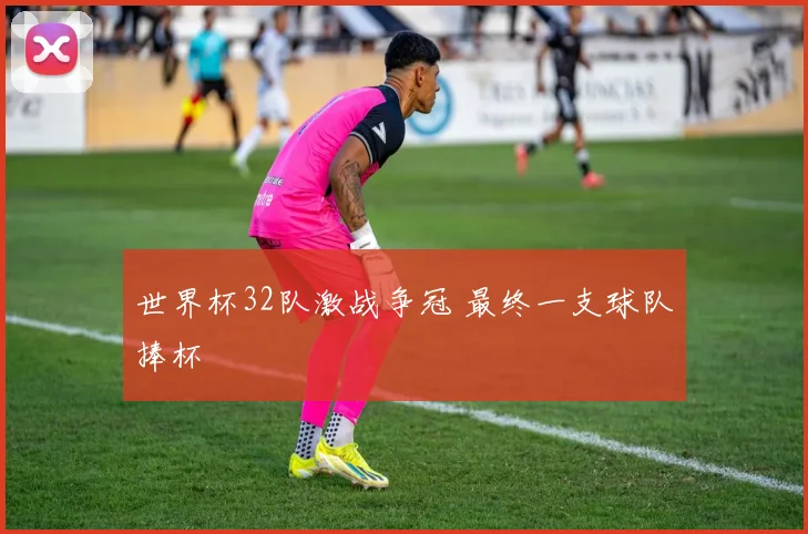 世界杯32队激战争冠 最终一支球队捧杯