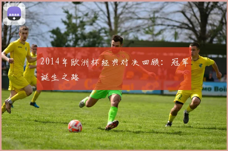2014年欧洲杯经典对决回顾：冠军诞生之路